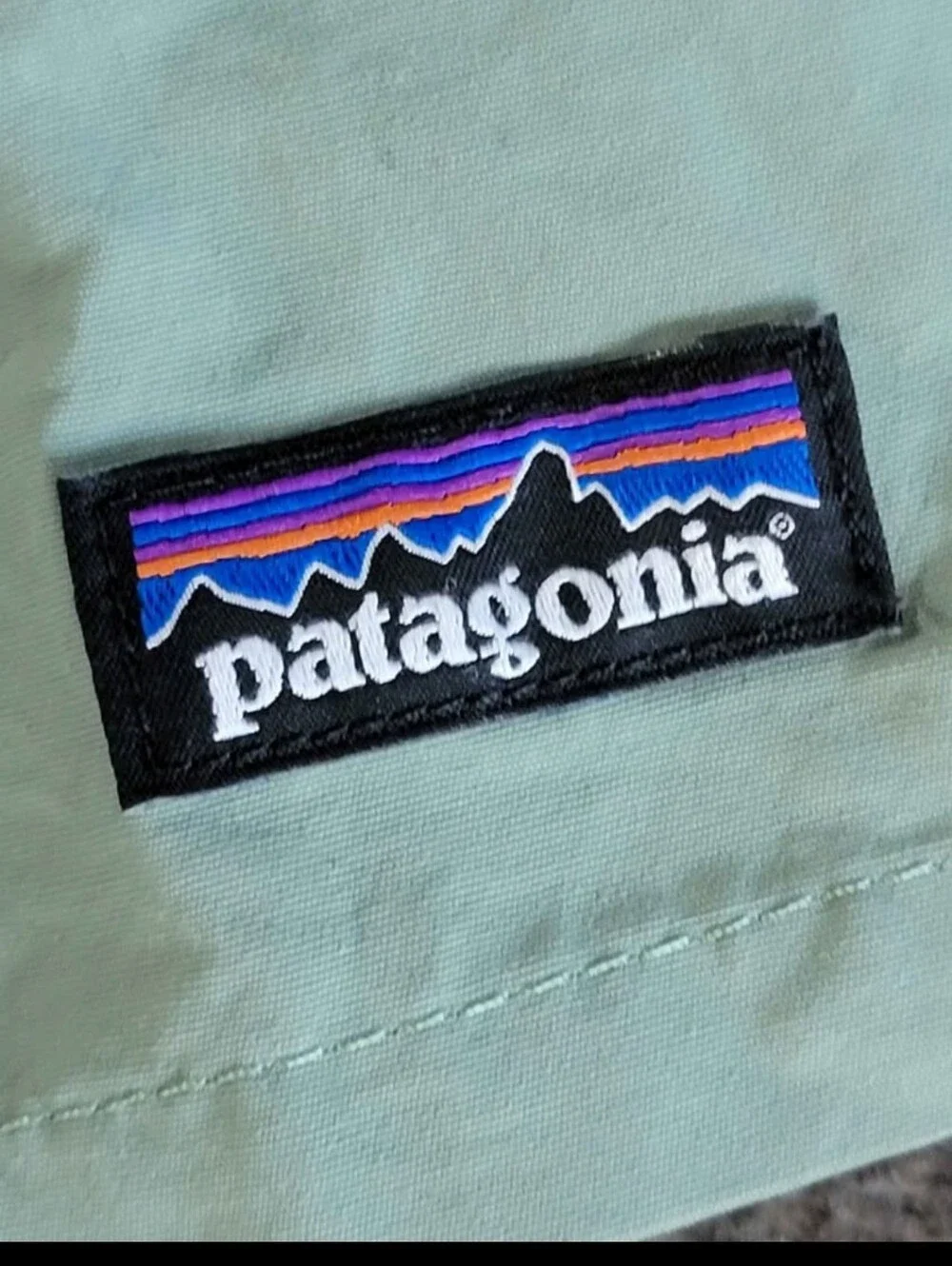 Patagonia Baggies Boys Lined Swim Trunks Shorts XL